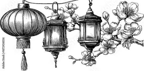Vintage chinese lanterns and cherry blossoms in detailed engraving for artistic design