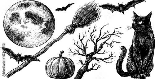 Autumn halloween night elements: brooms, moon, bats, cat, and pumpkin sketch collection for seasonal design