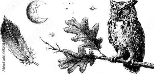 Autumn night silence with owl and nature elements - perfect for seasonal design accents