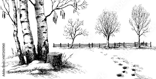 Winter birch grove scene in snow with trees and footprints - hand drawn vintage illustration set
