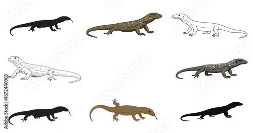 Diverse illustrations of monitor lizards showcasing varied poses and styles on white backdrop
