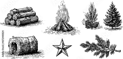 Solstice firewood and evergreen elements for seasonal design