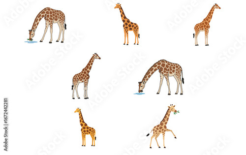 Illustrative Giraffe Set Displaying Various Actions on a Plain White Scene