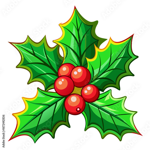 Christmas holly berries and leaves isolated on white background isolated on transparent background