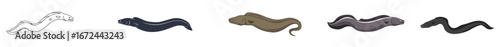 Stylized cartoon eels of various colors against a clean white backdrop