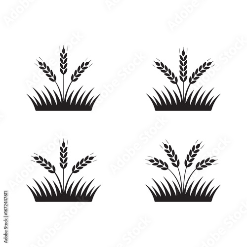 Four stylized black silhouette wheat stalks growing in grass against a vector