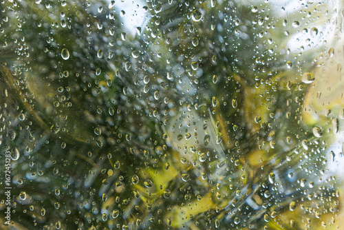 Rain Drops on a Window