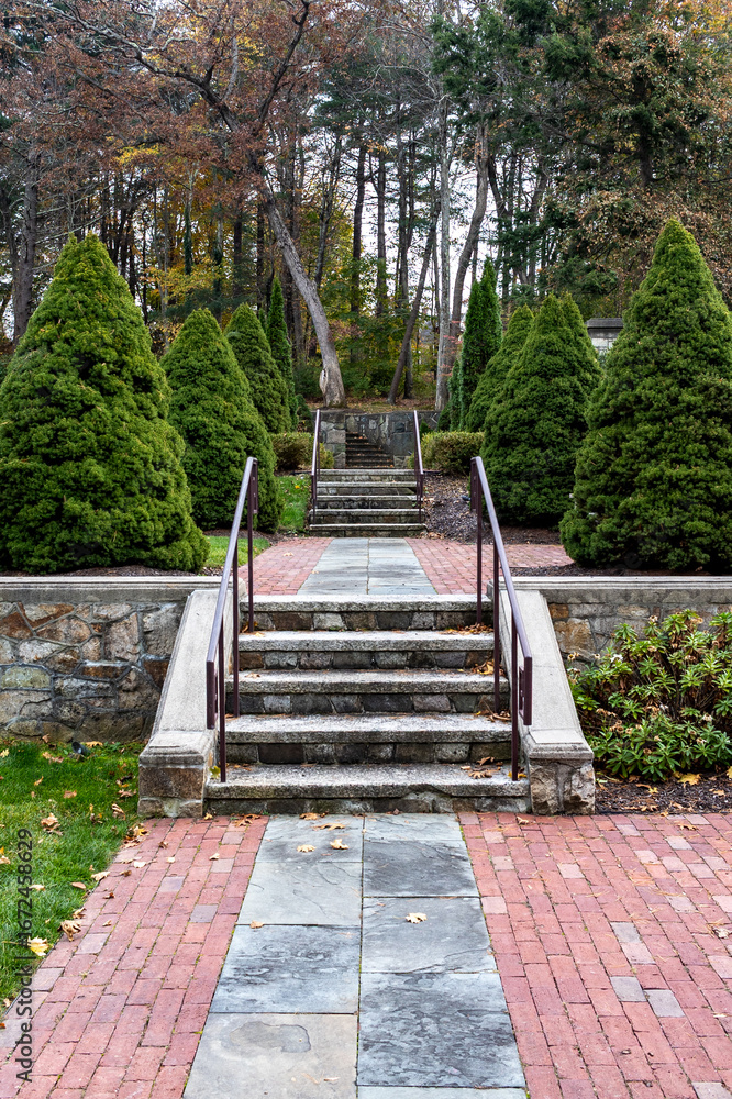 Obraz premium Stone Garden Stairway with Symmetrical Trees