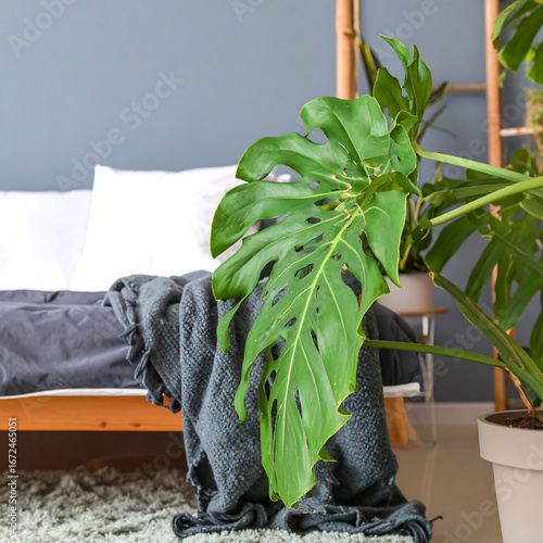 Lush plant in bedroom