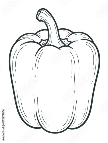 Bell Pepper Outline Illustration
