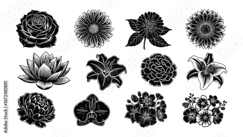Elegant Floral Display: An exquisite black and white illustration showcases a diverse array of detailed floral designs, perfect for enhancing projects with natural beauty and artistic flair.