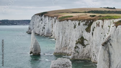 Cormorants on White Cliff  from a drone over Old Harry Rocks Jurassic Coast, Handfast Point, Dorset Coast, Poole, Dorset, England