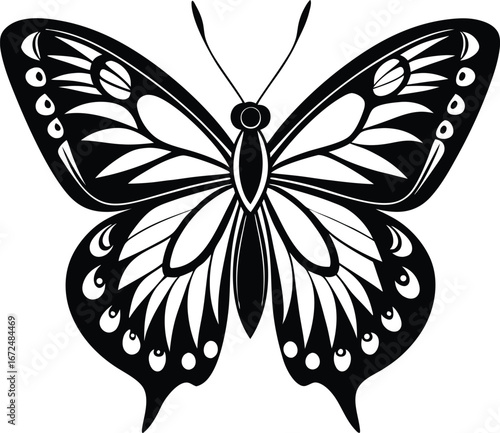 black and white butterfly