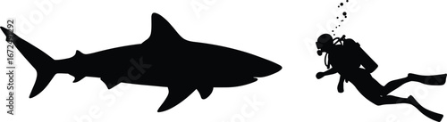 Shark and scuba diver silhouette, underwater marine life clipart, ocean adventure vector, diving illustration, black sea animal shapes