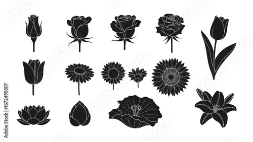 Floral silhouette collection: A curated selection of floral silhouettes showcases the delicate beauty of diverse flowers and plants.