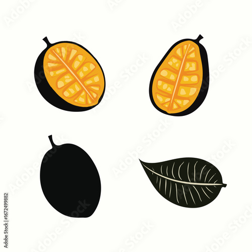 Sweet Marang Fruit Vector Illustration with Leaves"