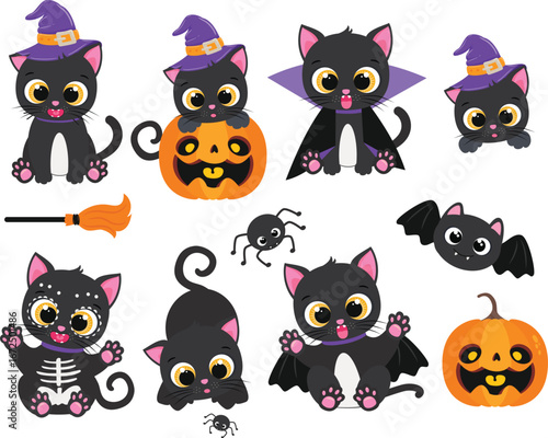 Cute Halloween Cat with pumpkins and costume