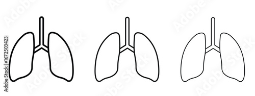 Lung icon in outline stroke style symbol.