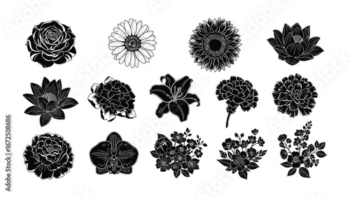Floral Silhouette Collection: A meticulously curated assortment of various flowers in elegant black silhouettes, showcasing their intricate details and natural beauty.