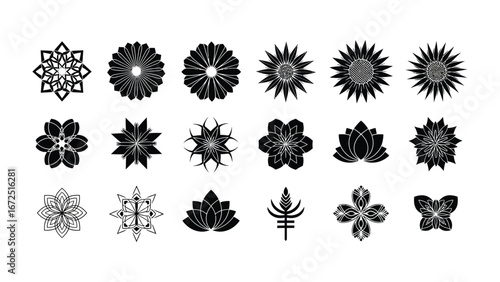 Floral Collection: A striking assortment of meticulously designed floral elements, each radiating unique beauty and intricate detail.