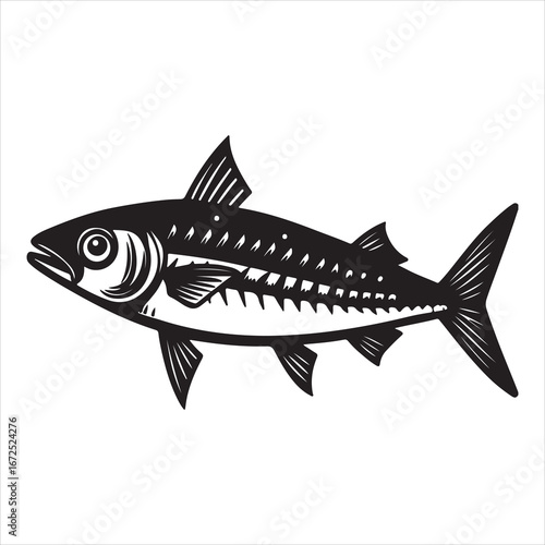 A Fresh Close-up of Mackerel, a Sleek and Oily Saltwater Fish with a Unique Iridescent Striped Body, Known for being a Nutritious and Flavorful Meal