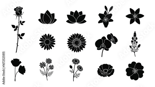 Floral Silhouette Collection: A visually striking arrangement of floral silhouettes, each bloom meticulously outlined, offering a versatile resource for graphic design and decorative applications.