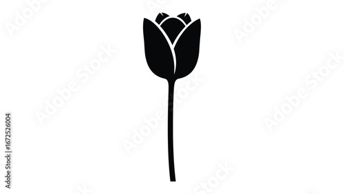 Tulip Silhouette: A sleek and elegant silhouette of a single tulip, its petals gracefully closed, set against a simple, uncluttered background, symbolizing purity and simplicity.