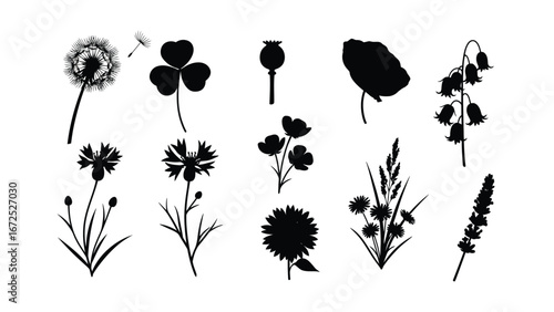 Floral Silhouettes Collection: A captivating array of delicate floral silhouettes, intricately designed to enhance any creative project with elegance and charm.