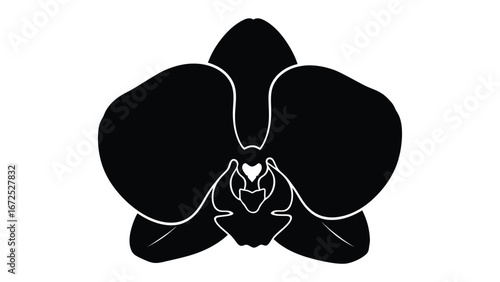 Monochrome Orchid Silhouette: An elegant orchid silhouette graces the canvas, its petals meticulously crafted to evoke a sense of purity and timeless beauty, an emblem of nature's grace.