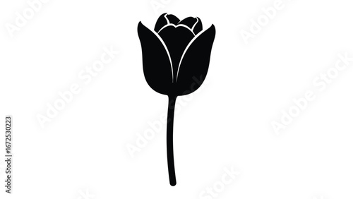 Elegant Tulip Silhouette: A graceful monochrome depiction of a solitary tulip in full bloom, showcasing the beauty and simplicity of floral design.