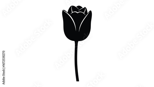 Elegant Tulip Silhouette: A minimalist and sophisticated rendering of a single tulip in full bloom, rendered in striking black and white.