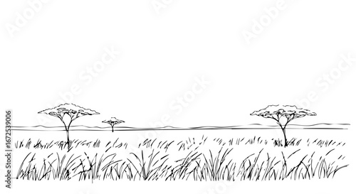 Hand-Drawn African Savanna Landscape, Simple Line Art Illustration