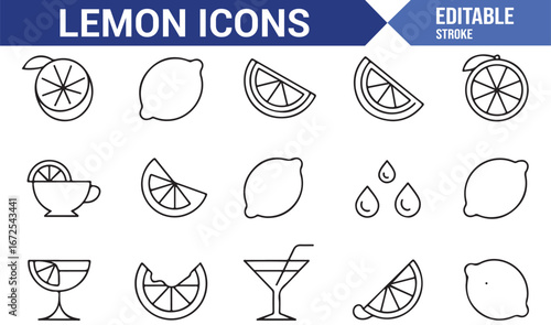 Editable citrus fruit icons for beverage and healthy food illustrations