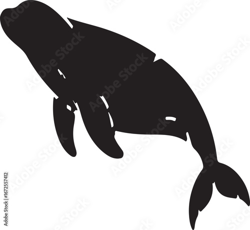 Silhouette of a playful seal swimming with flippers and tail visible