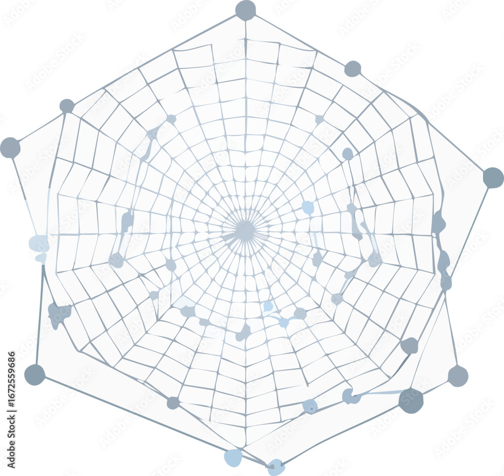 Obraz premium spider web vector