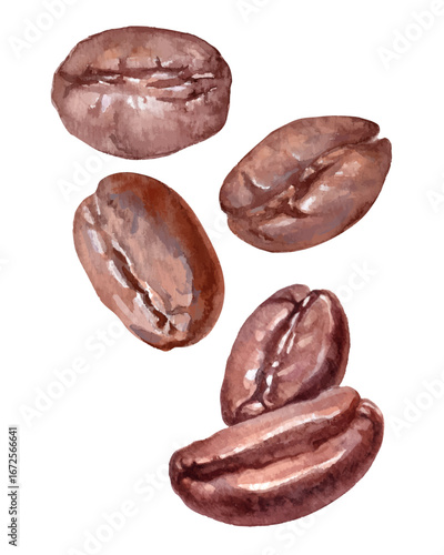 Watercolor coffee beans illustration. Hand painted brown roasted beans isolated on white. Perfect for cafe design, packaging, food decoration, and coffee shop brandin
