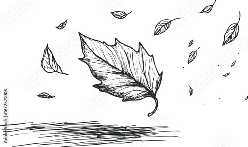 Hand drawn black and white sketch of a leaf falling in the wind with scattered smaller leaves