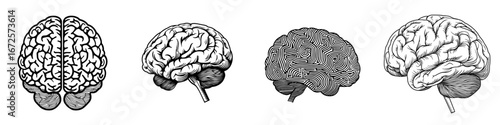 The Brainpower Icon is a bold and simple black and white representation of a human brain, symbolizing intelligence, knowledge, learning, and mental processes, making it perfect for websites and