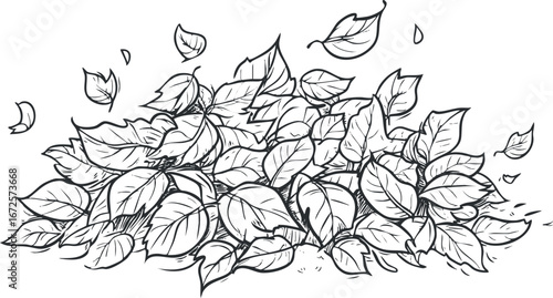 Hand drawn black and white sketch of a pile of leaves with some leaves falling around representing autumn season and nature foliage.