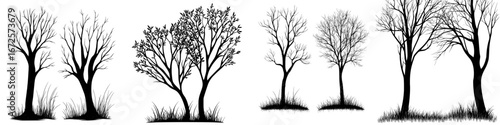 The image features elegant black and white silhouettes of two trees with intricate branches, set against a white background, symbolizing growth, resilience, and the passage of time
