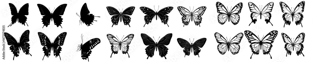 Obraz premium Butterflies in flight are silhouetted against a white backdrop with other butterflies