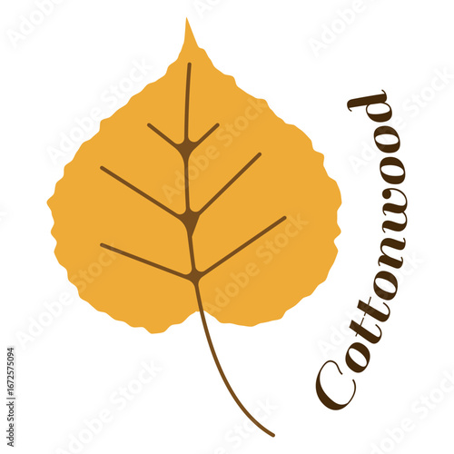A vibrant orange cottonwood leaf with detailed veins, paired with elegant cursive text 