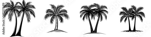 A simple yet evocative silhouette of a palm tree symbolizes tropical getaways, summer vibes, and the beauty of nature