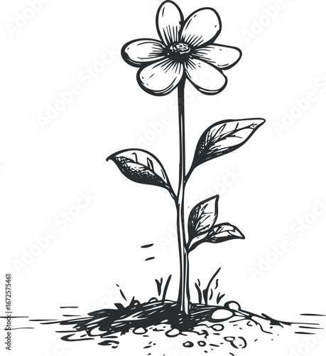 Hand-drawn black and white illustration of a single flower with stem and leaves growing from soil