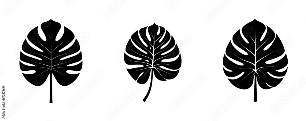 Fototapeta premium A dark tropical modern logo featuring a monstera leaf silhouette evokes a jungle atmosphere, perfect for backgrounds with exotic elements, botanical patterns, or nature-inspired designs
