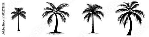 The stylized silhouette of a solitary palm tree embodies elegant simplicity, evoking memories of tropical escapes and warm summer days, ideal for symbolizing relaxation