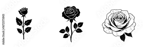 The Elegant Black Rose Icon is a stylized representation of a single rose accompanied by leaves, ideal for incorporation into sophisticated designs and various graphic projects, thanks to its