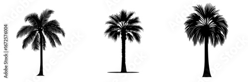 The essence of tropical vacations and relaxation is captured in a stylized silhouette of a palm tree, its fronds extending upwards