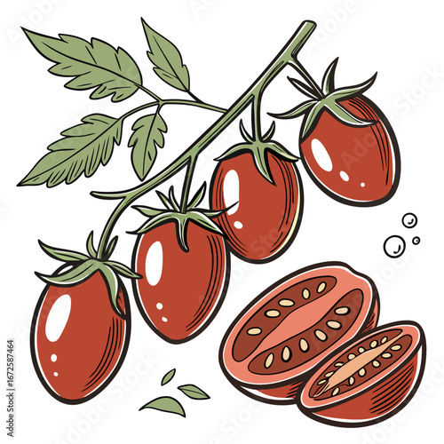 Watercolor Datterino Tomatoes – Isolated Eco Food Illustration on White Background