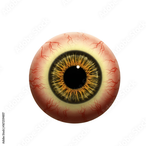 Scary Eyeball Variations PNG – Creepy Horror Eye Designs – Isolated on Transparent Background PNG for Halloween & Spooky Graphics